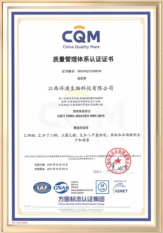 Quality Management System Certification Certificate