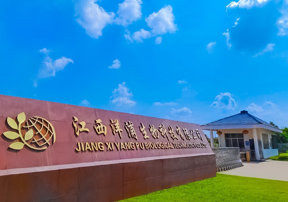 公司大门